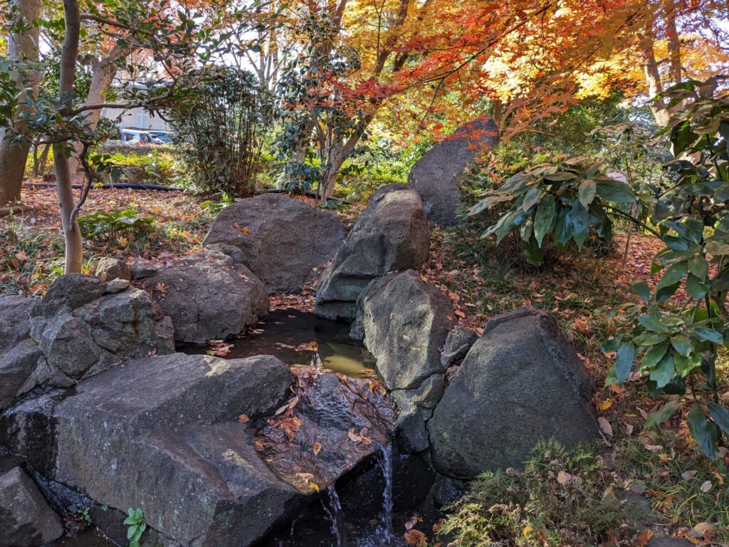 「転がる石は苔をつけない」ということわざの解釈は分かれる